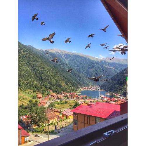Ozbek Suite Hotel