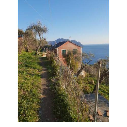 Pace tra gli ulivi e il mare