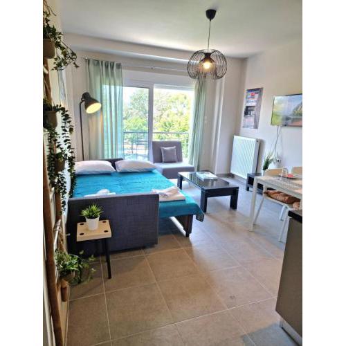 Palaia premium flat