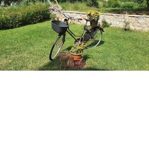 Palairos: Rose Garden experience (A/C, Wi-Fi, BBQ)