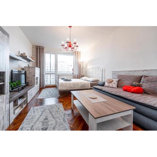 Palarikova Whole Apartment in Center