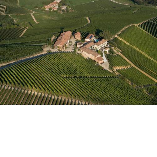 Palas Cerequio