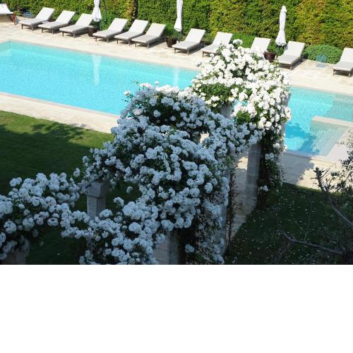 Palazzo Ducale Venturi - Luxury Hotel & Wellness