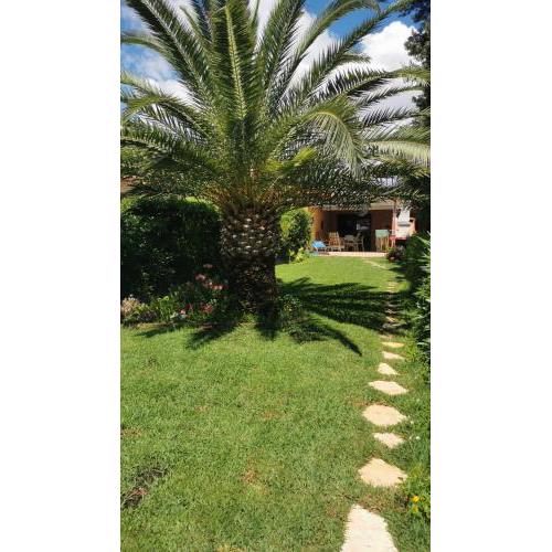 Palm Rei House Costa Rei