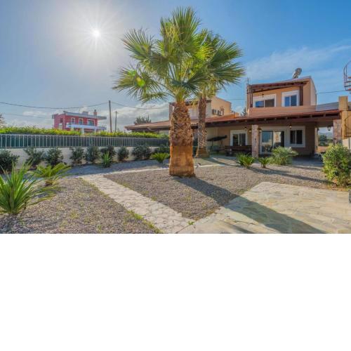 Palm view villa