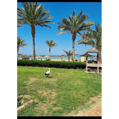 Palma Resort