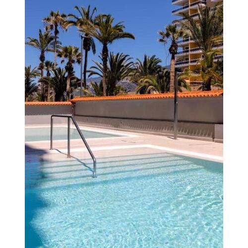 Palmera del Mar