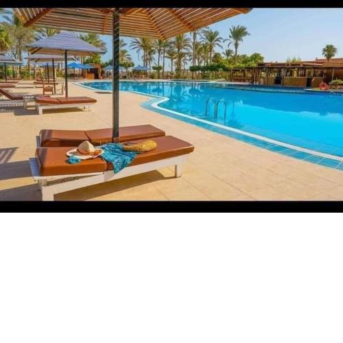 PALMERA