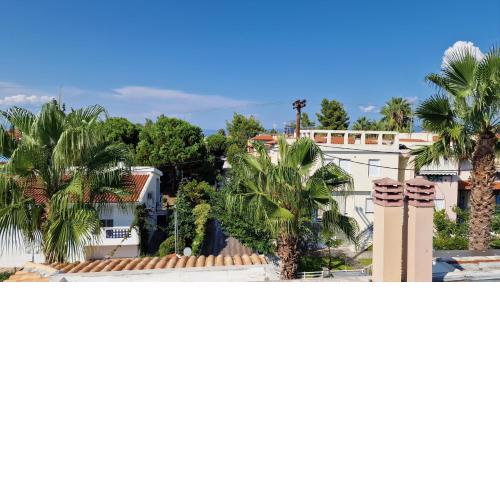 Palms Penthouse