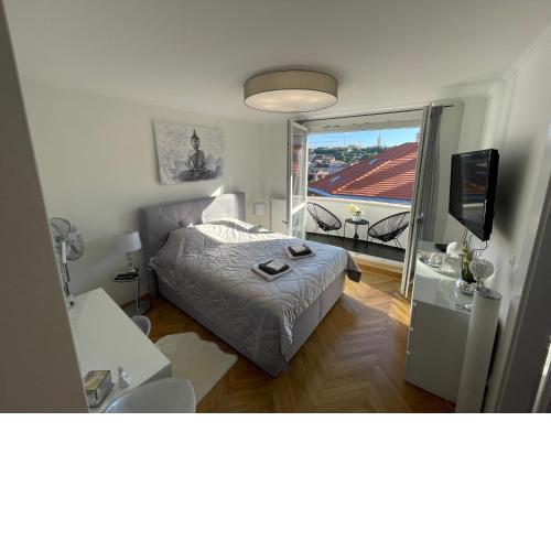 Panoramic Apt. near Chain Bridge