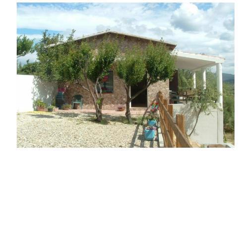 Panoramic House