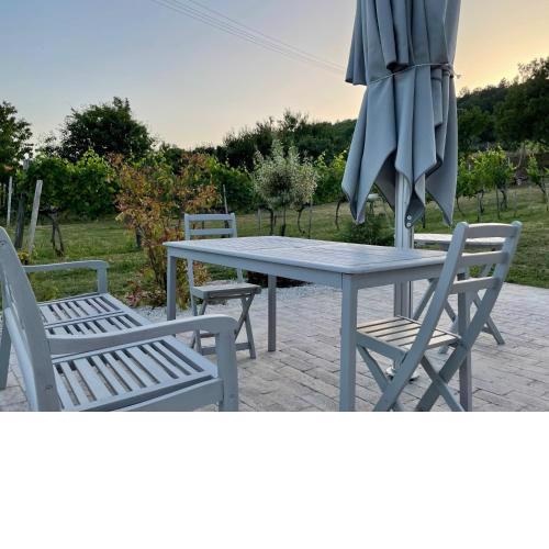 Panoramic tranquility on hill of vineyard