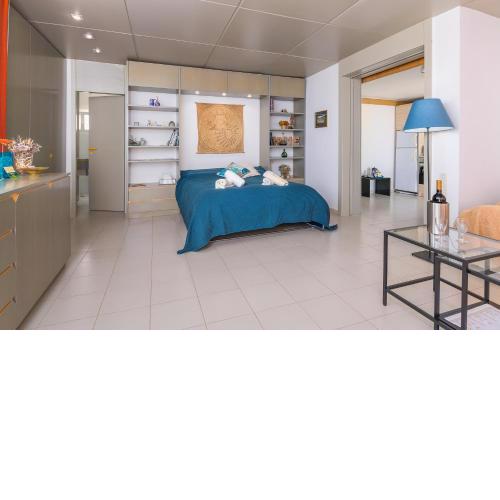 Panoramic view roof garden apartment