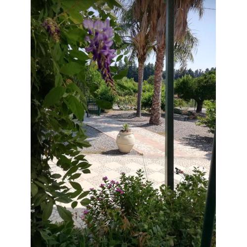 Panoramico, in villa, grande, con ampie terrazze
