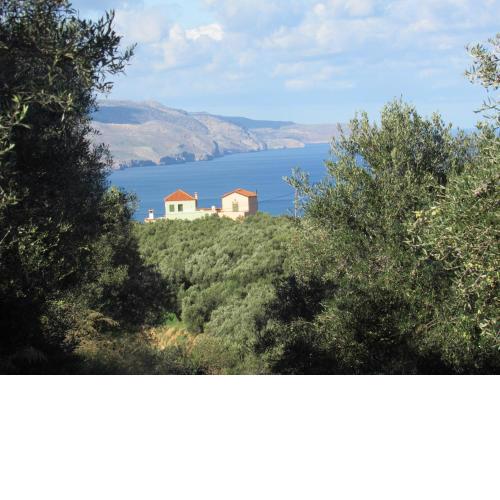 Panselinos Studios