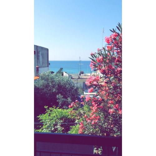 Paradise view