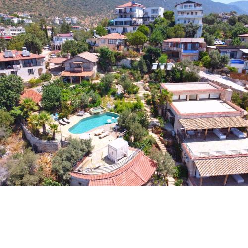 Paradisekasvillas, olive