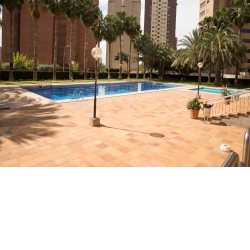 Paraiso Centro Alquilevante