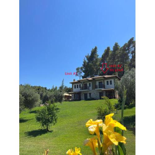 Paralia Homes peaceful 2 bedroom, unit # 2