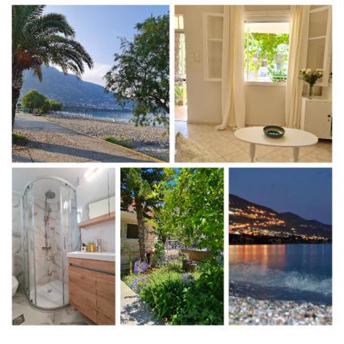 Paralia Nest