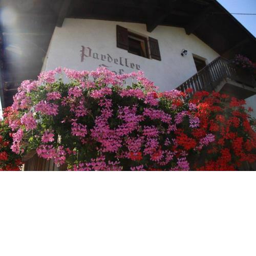 Pardellerhof Schlernblick