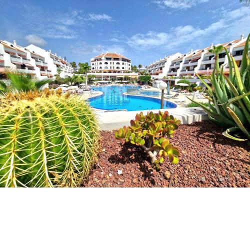 Parque Santiago 1 F-348 by TENERIFE DREAM PROPERTIES