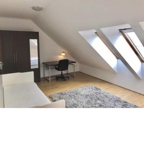 PARTY ZONE//Spacious apt w rooftop&geoterm A/C