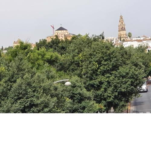 Paseo de la Ribera. Córdoba.