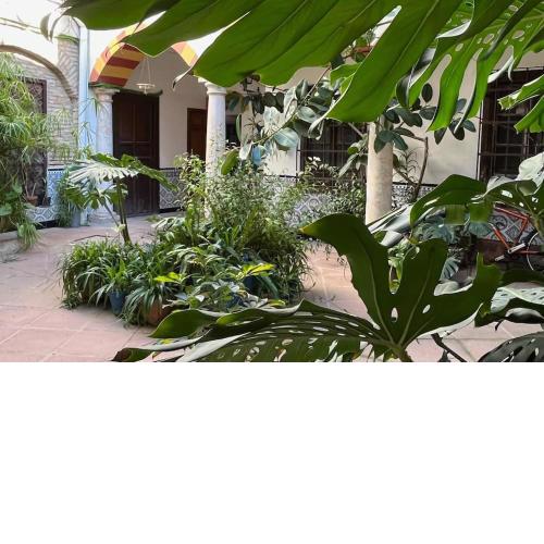 Patio de la Corredera