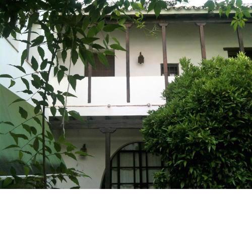 Patio Del Limonero