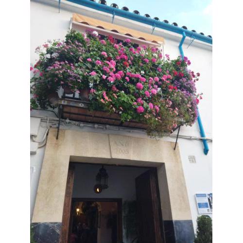 Patio El Pacífico