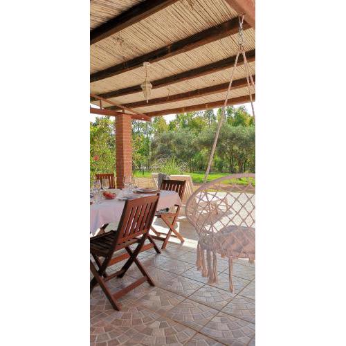Patio House