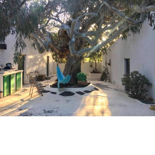 Patio I