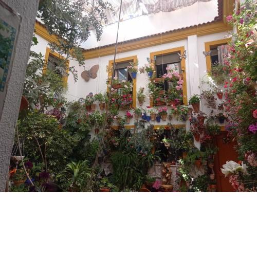 PATIO POZANCO