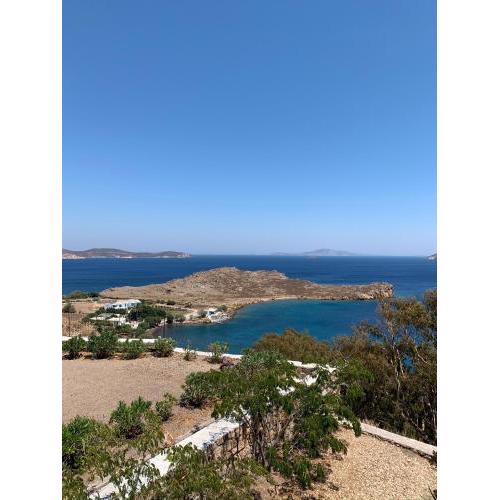 PATMOS Confidential