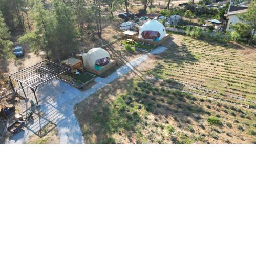 Pavlonyaguestfarm