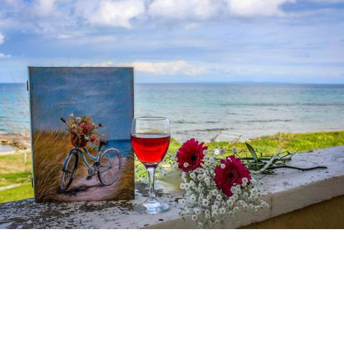 Pelagion II Sea Coral - Beachfront holiday home