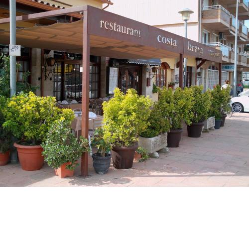 Pensió Costa Brava