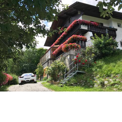 Pension Alpenblick B&B