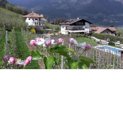 Pension Chalet