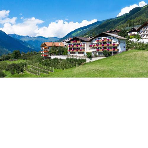 Pension Grafenau