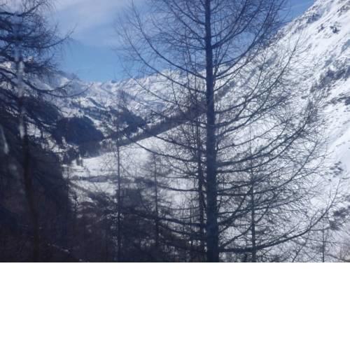 Pension Kupfer