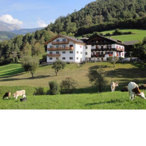 Pension Steigerhof
