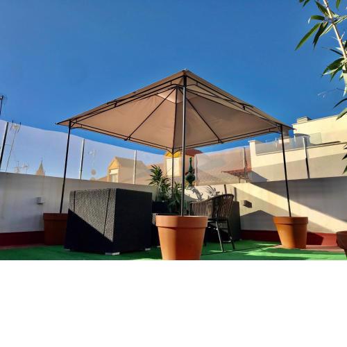 Penthouse con terraza- 2D 2B- Triana