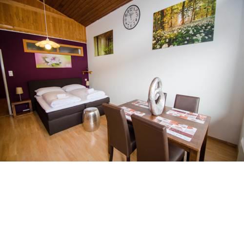 Penthouse Studio Alisa Kaprun by All in One Apartments