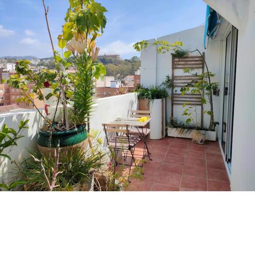 Penthouse Terrace