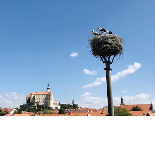 Penzion Čáp