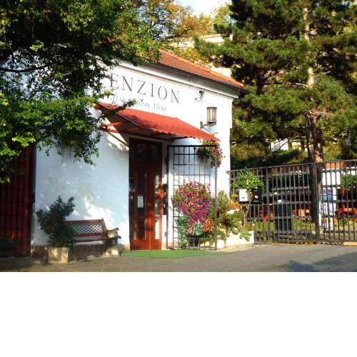 Penzion Na Starém Brně