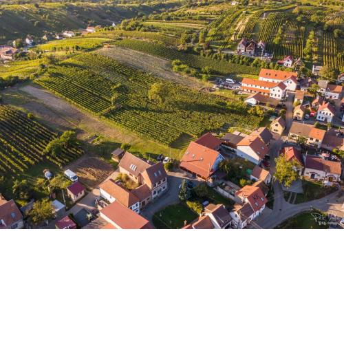 Penzion Na Vinařství