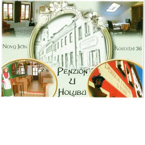 Penzion U Holubů Nový Jičín